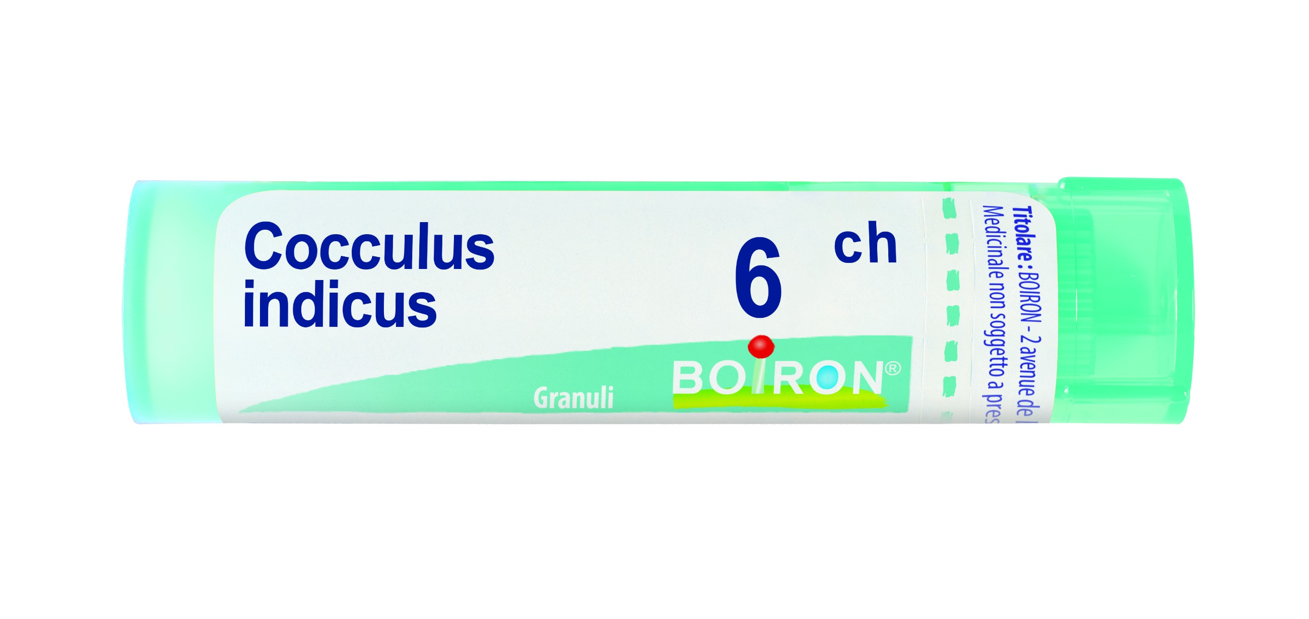 Cocculus indicus 6ch bo gr