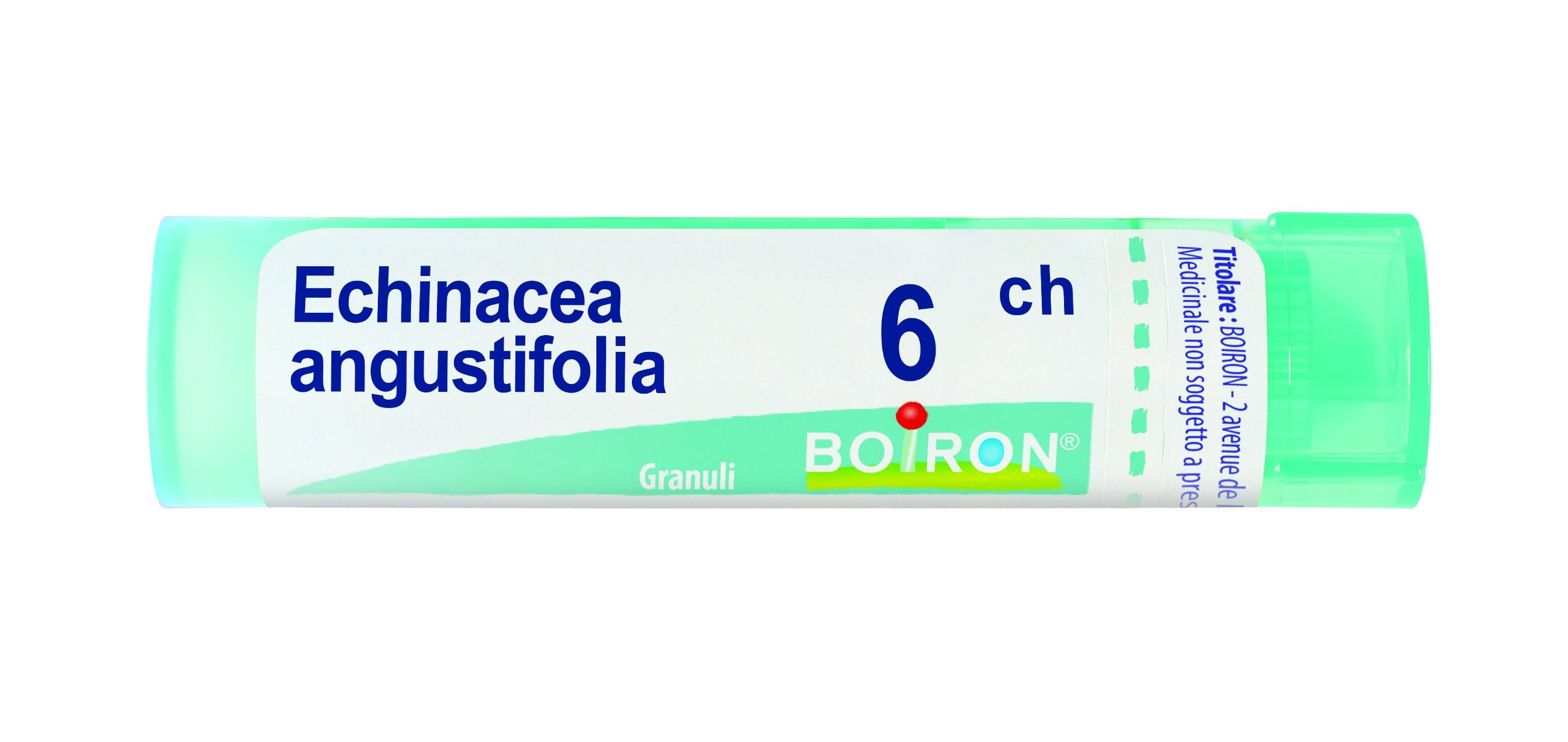 Echinacea angust 6ch bo gr