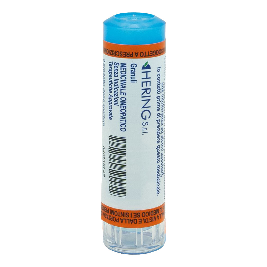 Apis mellifica sgl 5ch 4g gr
