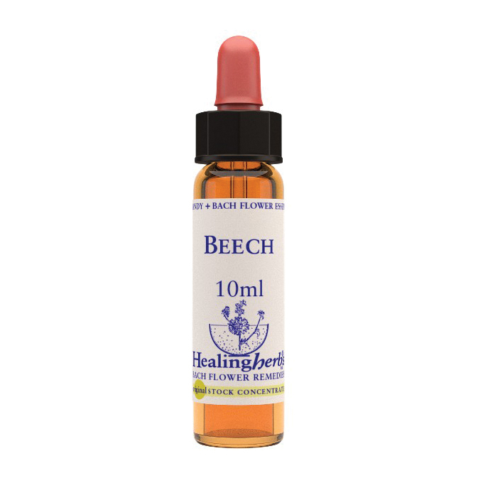 Bach center ess red chestnut20