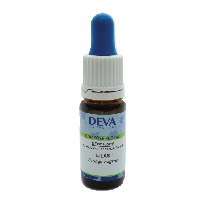 Bach center ess white chestn20