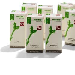 Albero giuda 100ml mg