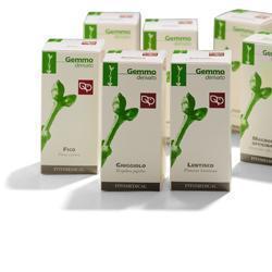 Limone 200ml mg