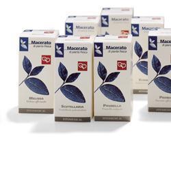 Pilosella tintura madre 50 ml