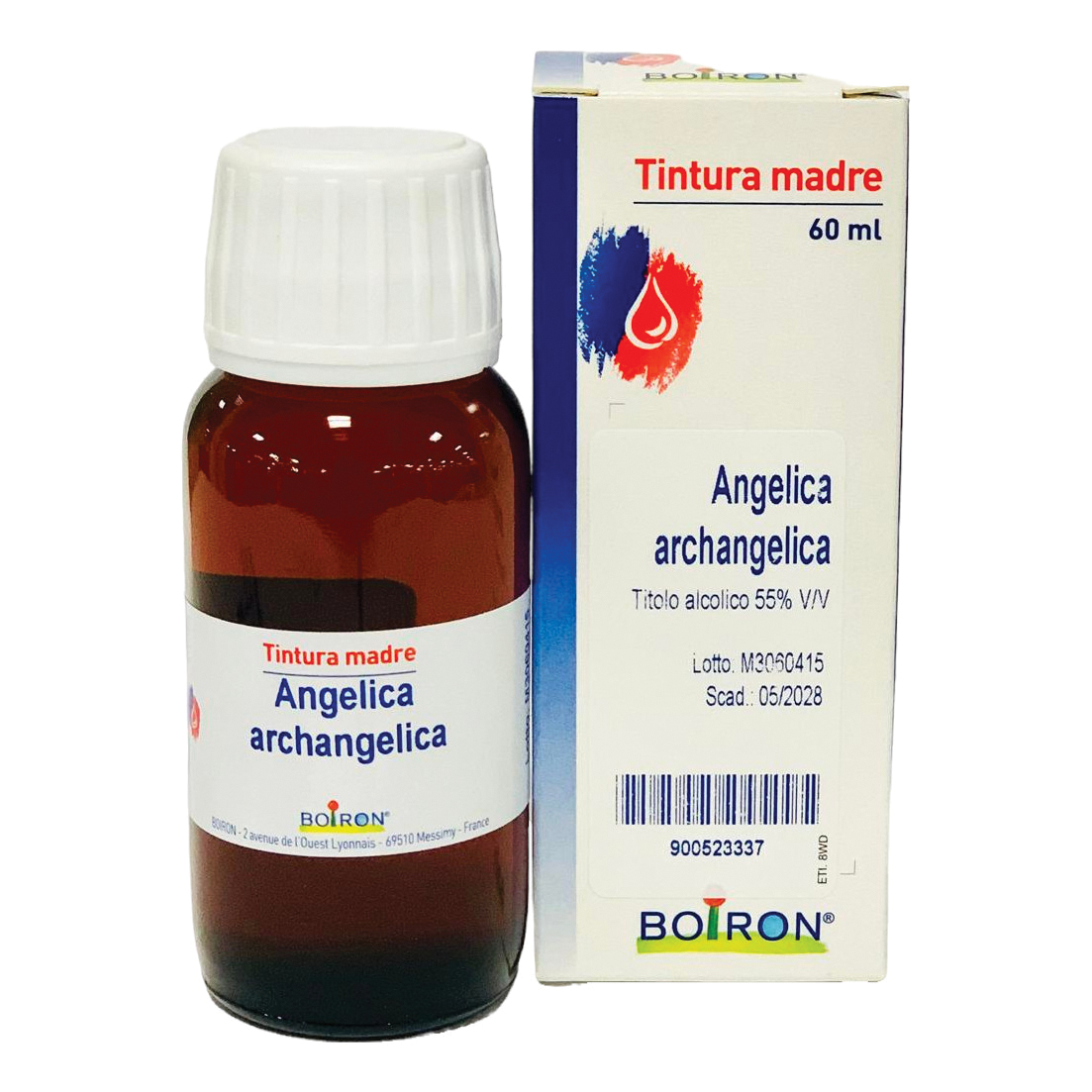 Angelica arcangelica 60ml tm