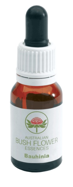 Bauhinia gocce 15ml