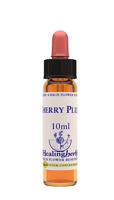Cherry plum essenza 10 ml 1 pezzo