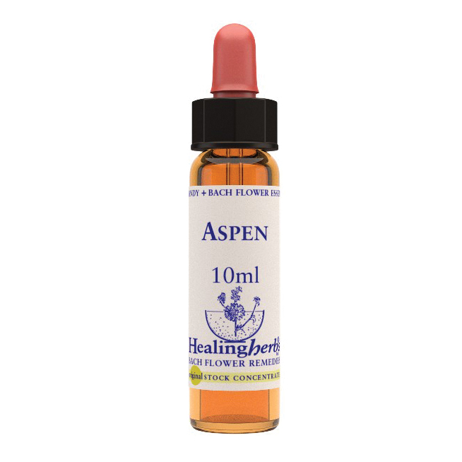 Chicory essenza 30 ml 1 pezzo