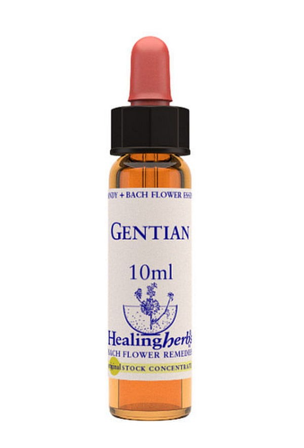 Gentian essenza 10 ml 1 pezzo