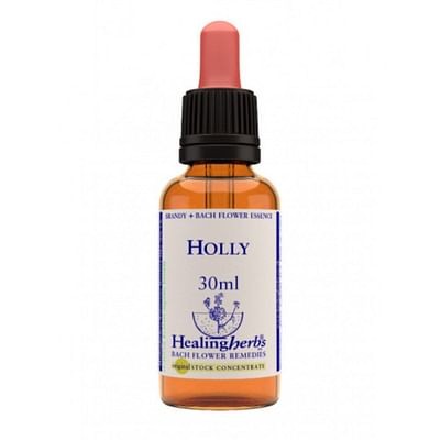 Holly essenza 30ml natur