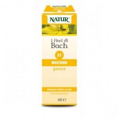 Mustard essenza 10 ml 1 pezzo