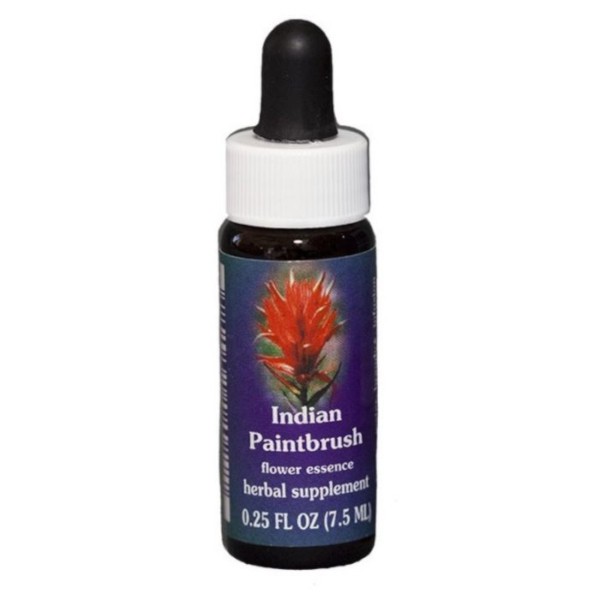Indian paintbrush 7,4ml calf