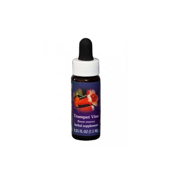 Trumpet vine ess 7,4ml calf