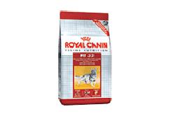 Royal Canin Gatto Fit 32 4 Kg