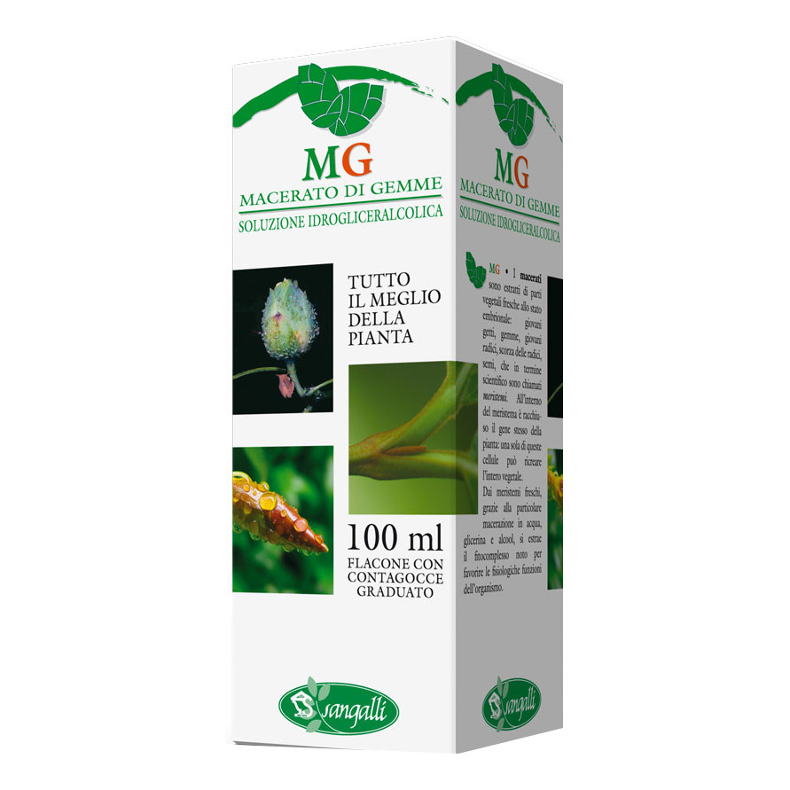Carpino 100ml mg