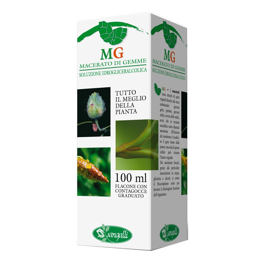 Lampone 100 ml gm