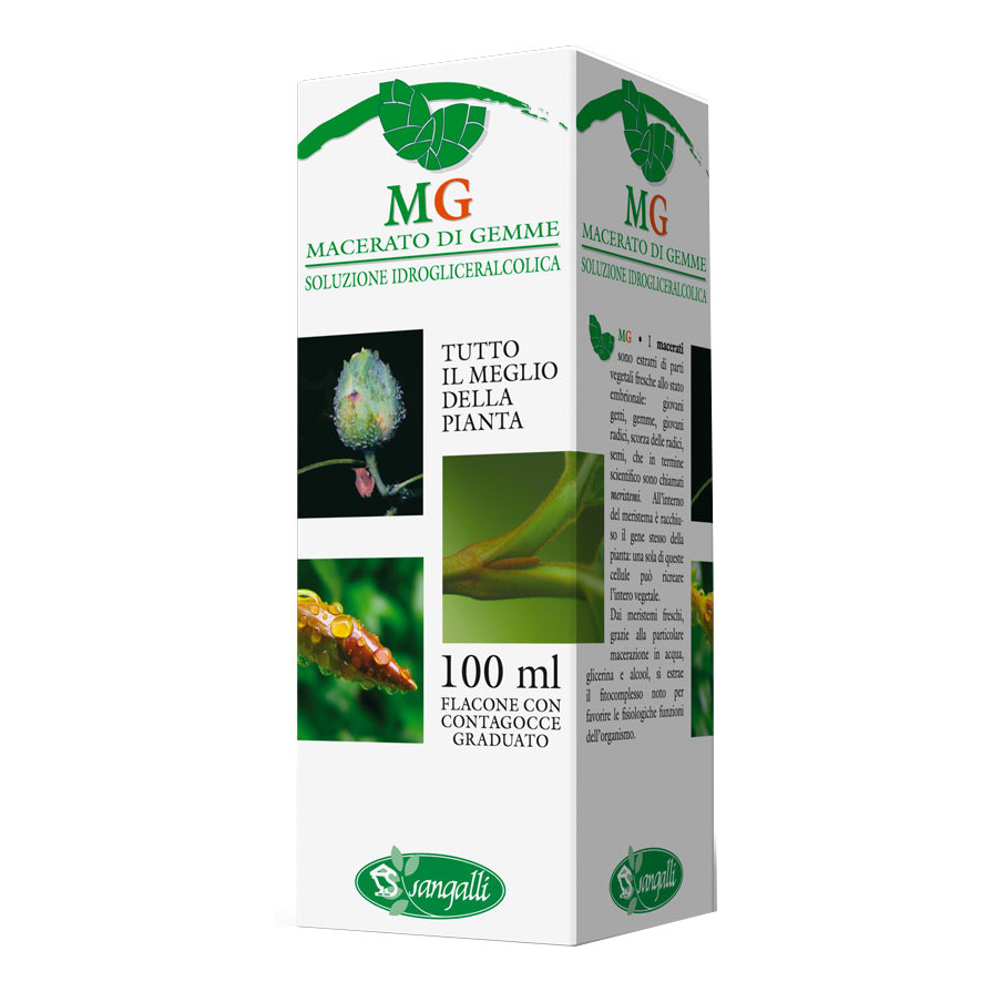 Olivo macerato glicerico 100 ml