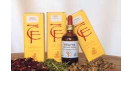 Frassino gemme 50ml mg