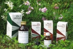 Raemil achillea olio 100 ml