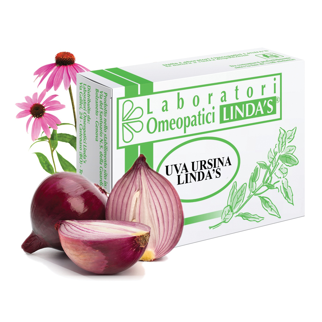 Uva ursina 45 Tavolette lindas