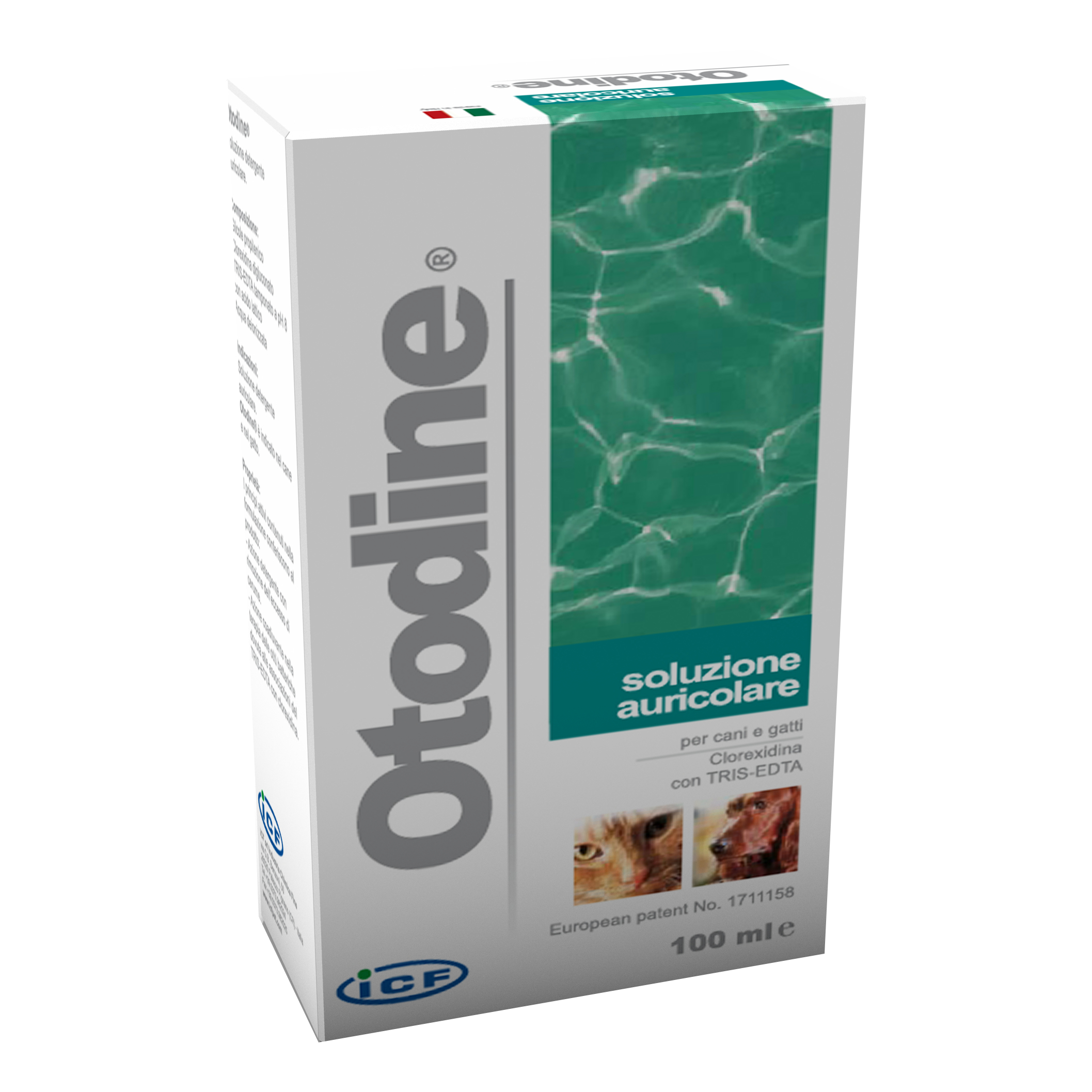 Otodine 100 Ml