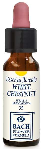 White chestnut original 10 ml