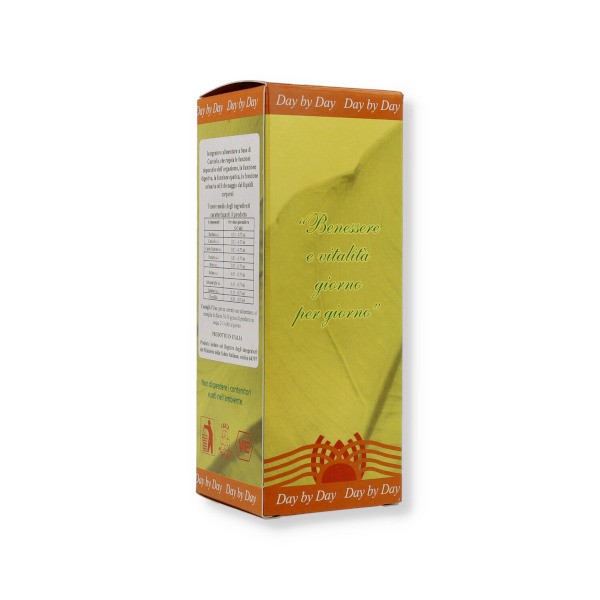 Depurday gocce 100 ml