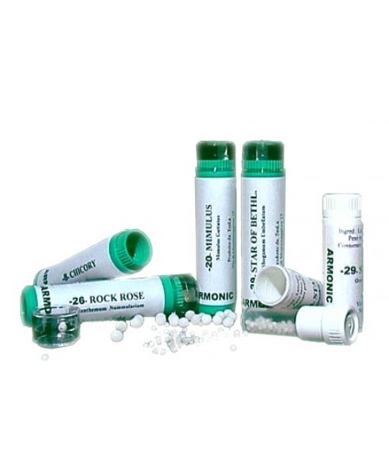 Armonic 20 mimulus 70gr