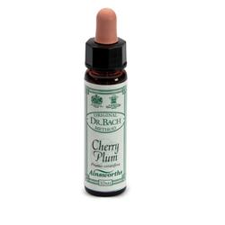 Ainsworths cherry plum 10ml