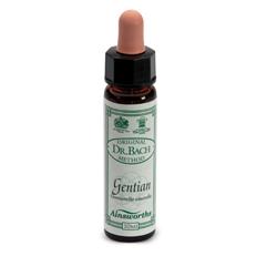 Ainsworths gentian 10ml