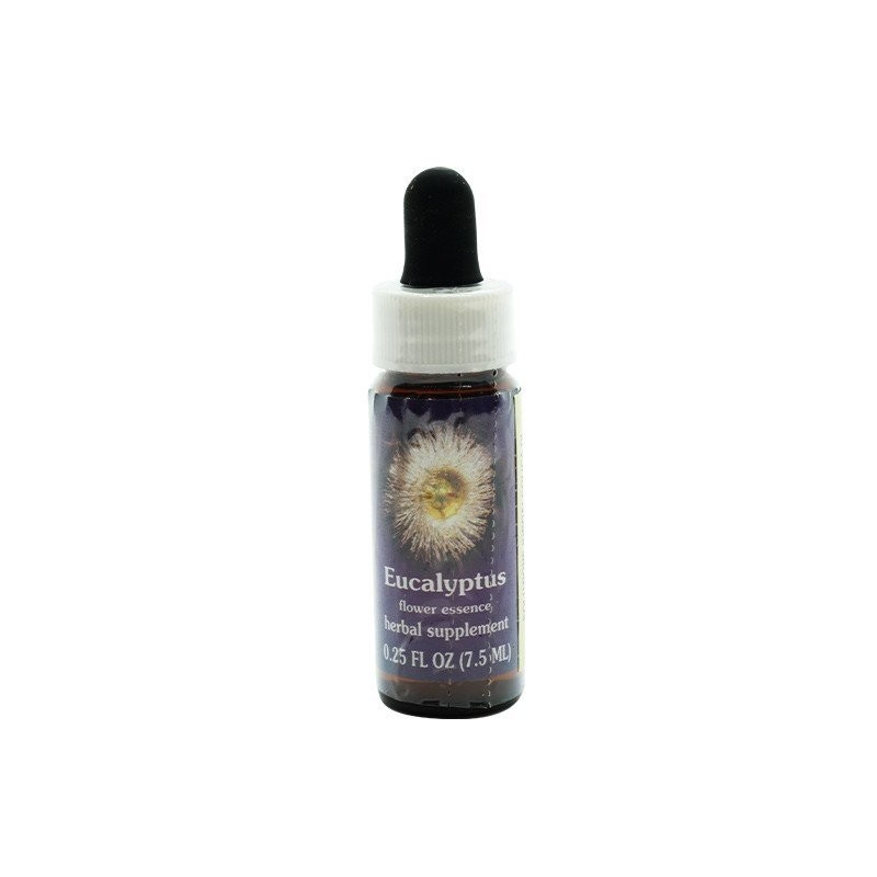 Eucalypstus ess 7,4ml