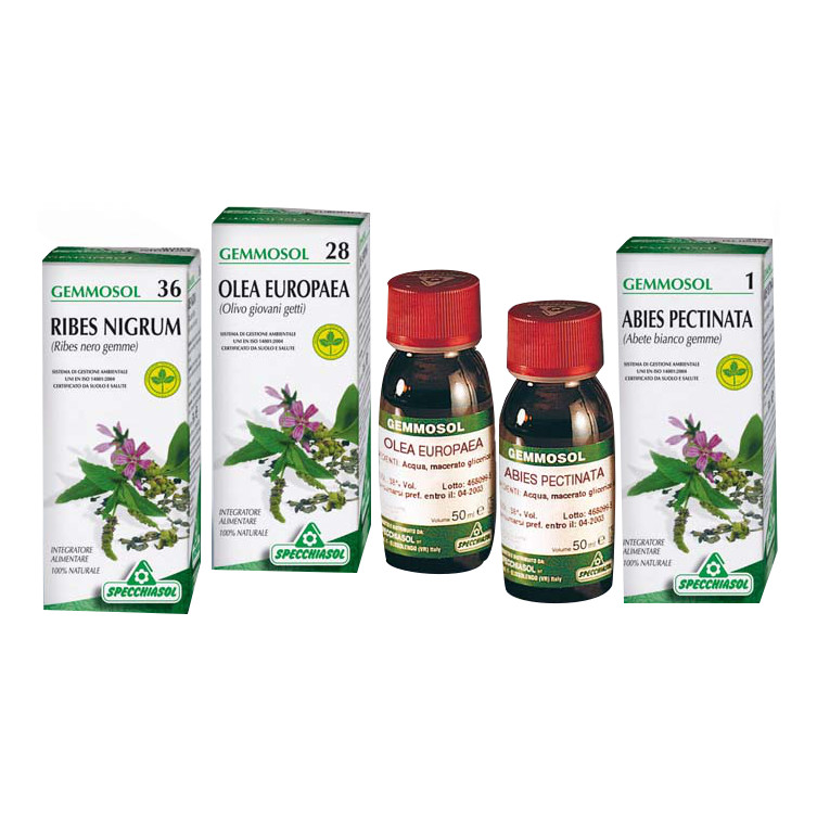 Sp.lampone 40 gemmosol 50ml