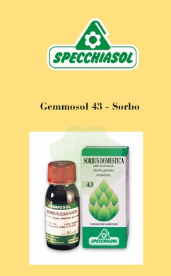 Sp.sorbus domes.1dh gemme 50ml