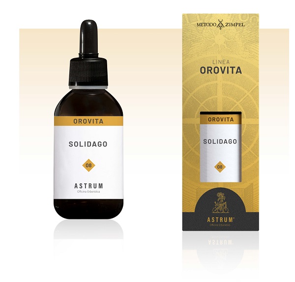 Solidago astrum orovita 50 ml
