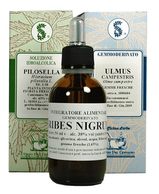 Damiana 100 ml gocce