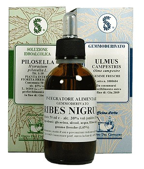 Eleuterococco 100 ml gocce
