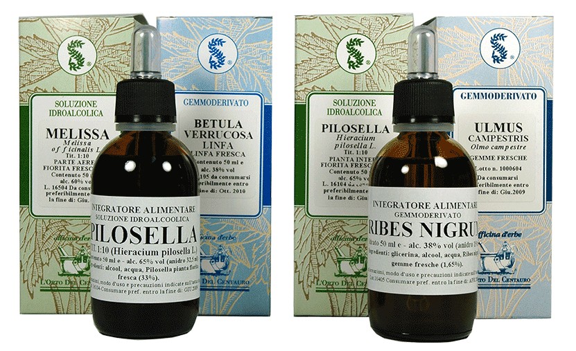 Olea europaea 100 ml macerato glicerico