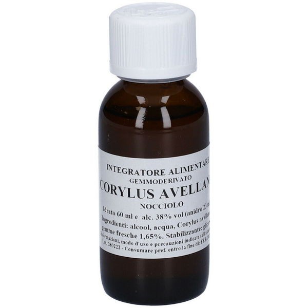 Corylus avellana 60 ml macerato glicerico