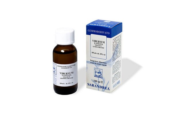 Viburnum lantana 60 ml macerato glicerico
