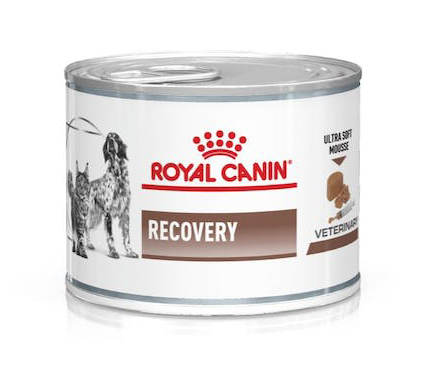 Royal Canin Recovery 195 Gr