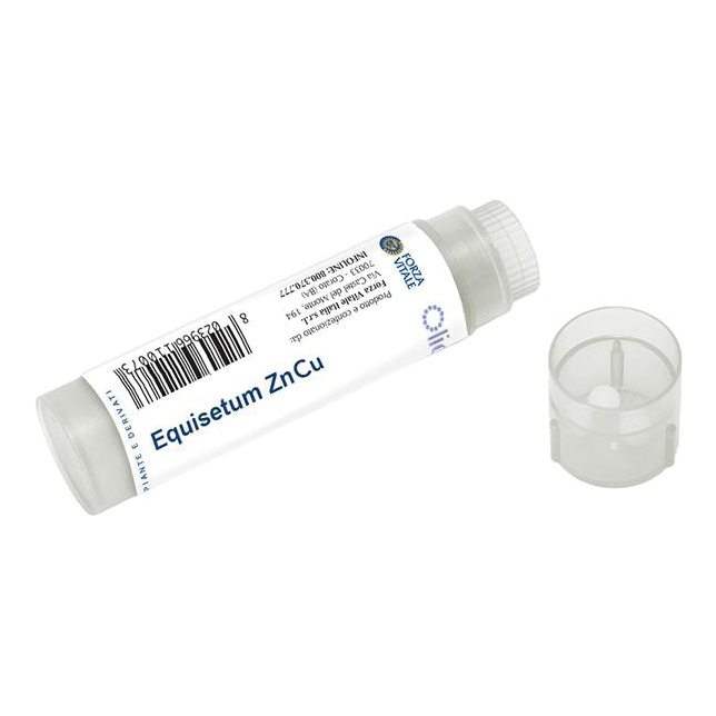 Equisetum zn/cu 100 gl.fvt