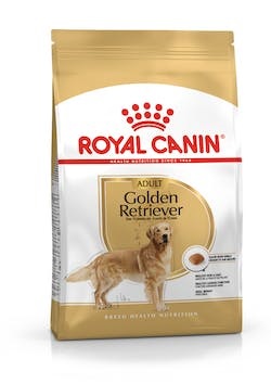 ROYAL CANIN Golden Retriever Adult | 3 kg | Cibo secco per cani | Specialmente per Golden Retriever adulti e anziani | A partire dai 15 mesi | Supporto per pelle e pelo