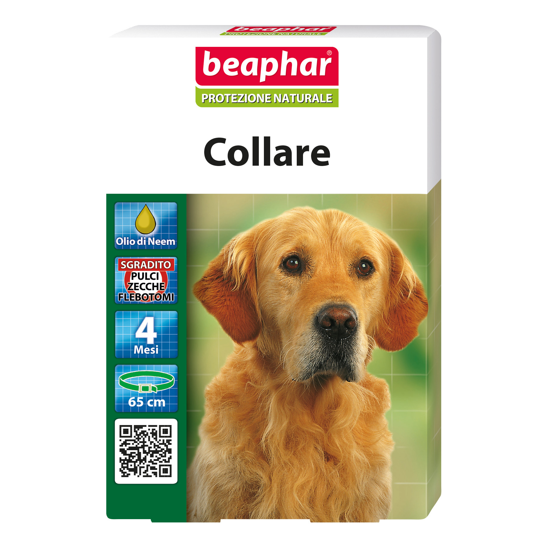 Protezione naturale coll cane