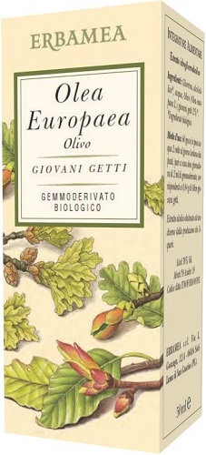 Olea europea olivo bio 50 ml