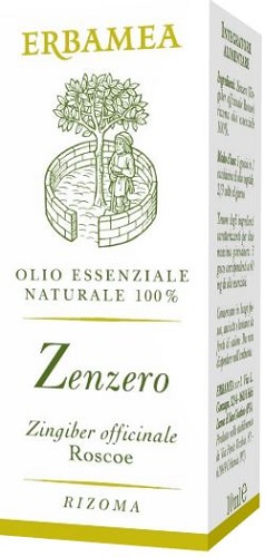 Zenzero 10 ml