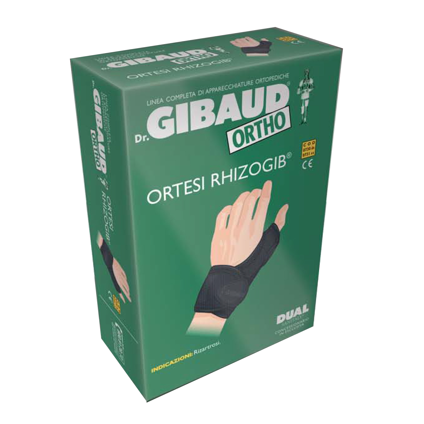 Gibaud-ort.rhizogib sx 1