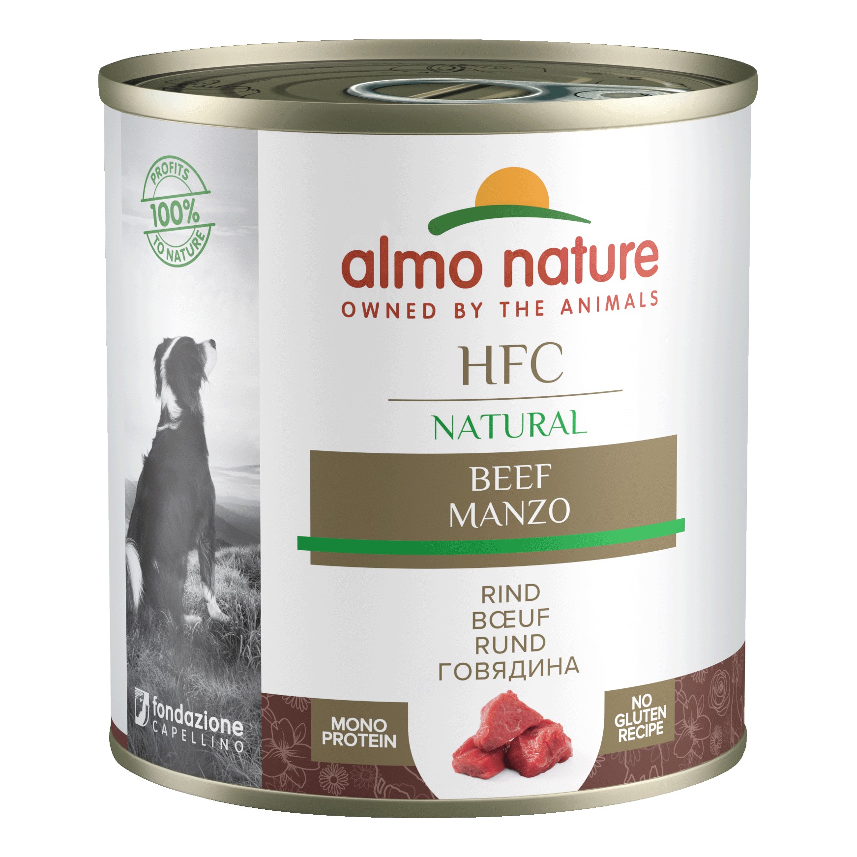 Almo nature manzo 290 g.