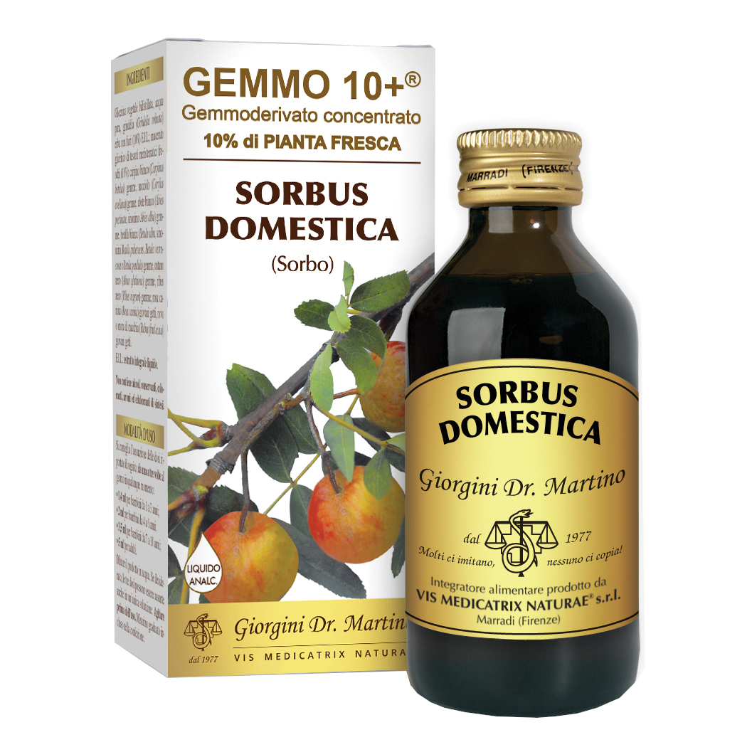 Sorbo analco gemmo 10+ 100 ml
