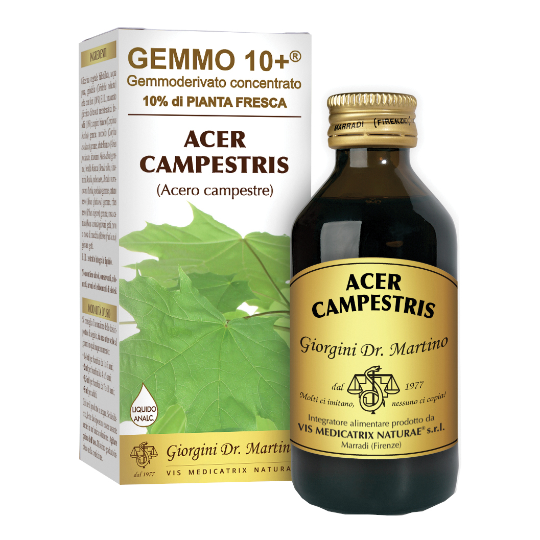 Gemmo 10+ acero campestre 100 ml liquido analcolico