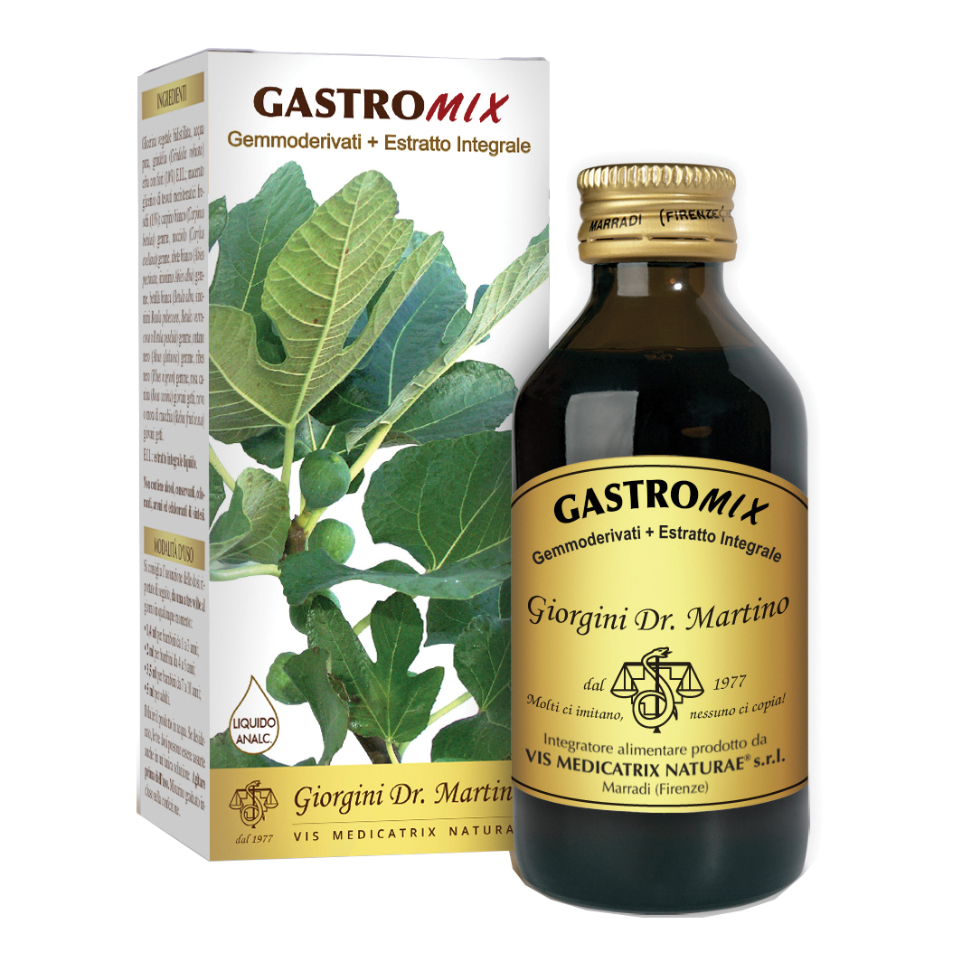 Gastromix liquido analcolico 100 ml
